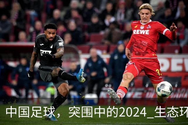 中国足球,突围中的2024 生态环境将实现好转